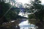 naturaleza